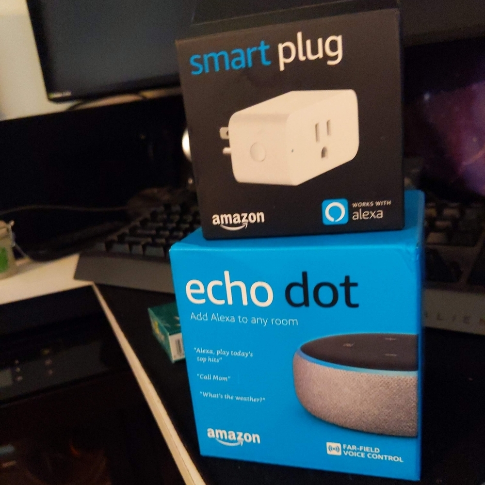 Echo dot and smart plug